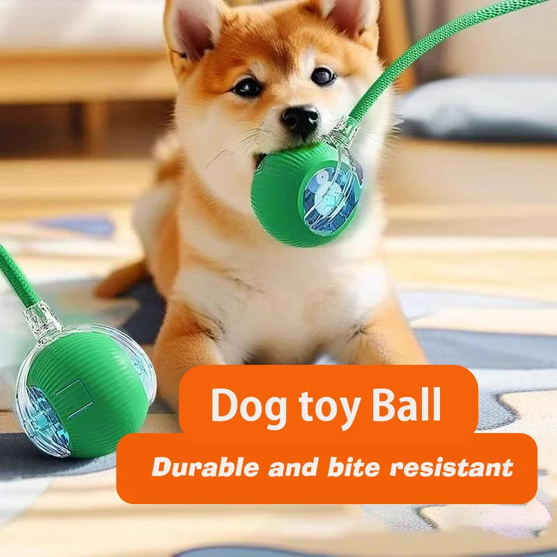 PawFuzzy Interactive Smart Dog Ball Toy – Automatic Rolling, Rechargeable Pet Toy