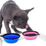 PawFuzzy Portable Dog Water Bottle & Food container – 2-in-1 Travel Feeder