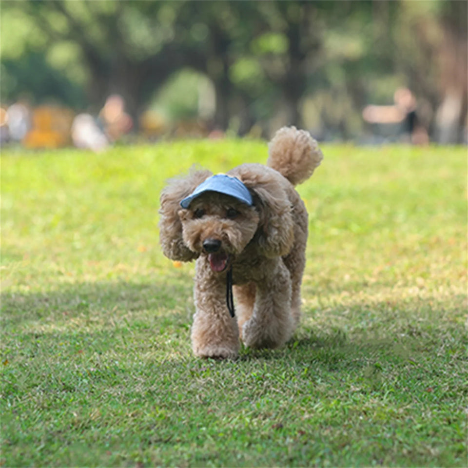 PawFuzzy Adjustable Dog Sun Cap with Ear Holes – Breathable UV Protection Hat