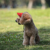 PawFuzzy Adjustable Dog Sun Cap with Ear Holes – Breathable UV Protection Hat