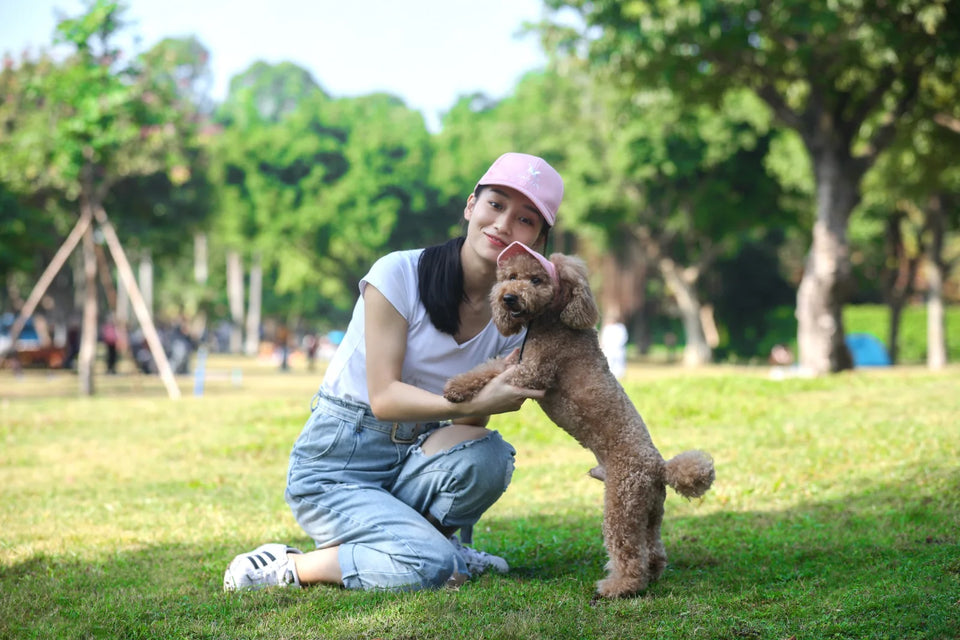 PawFuzzy Adjustable Dog Sun Cap with Ear Holes – Breathable UV Protection Hat