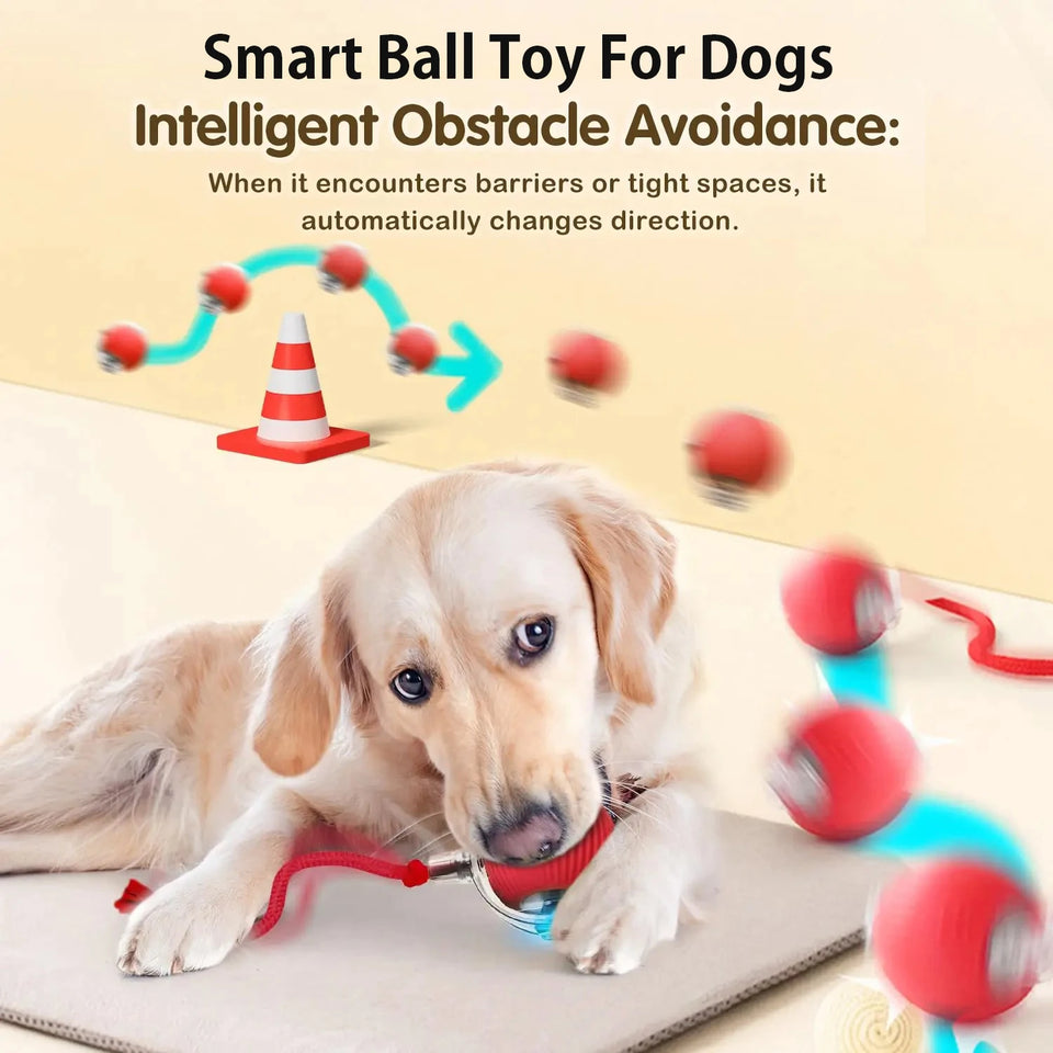 PawFuzzy Interactive Smart Dog Ball Toy – Automatic Rolling, Rechargeable Pet Toy