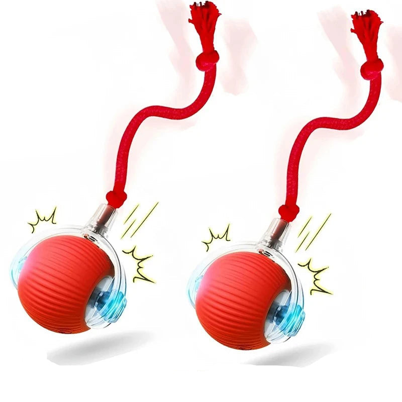 PawFuzzy Interactive Smart Dog Ball Toy – Automatic Rolling, Rechargeable Pet Toy
