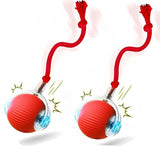 PawFuzzy Interactive Smart Dog Ball Toy – Automatic Rolling, Rechargeable Pet Toy