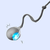 Dog ball toy with multiple play modes fast slow and interactive