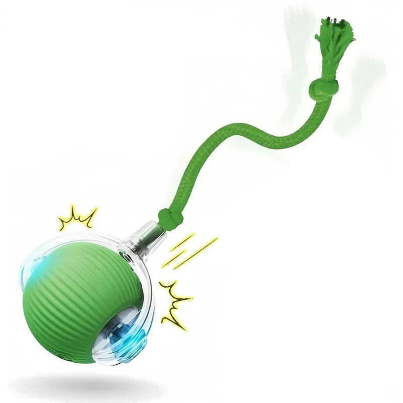Rechargeable dog ball toy with Type C charging port